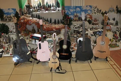 Stage Chanson et Guitare - Janvier 2022 - Cuis 51